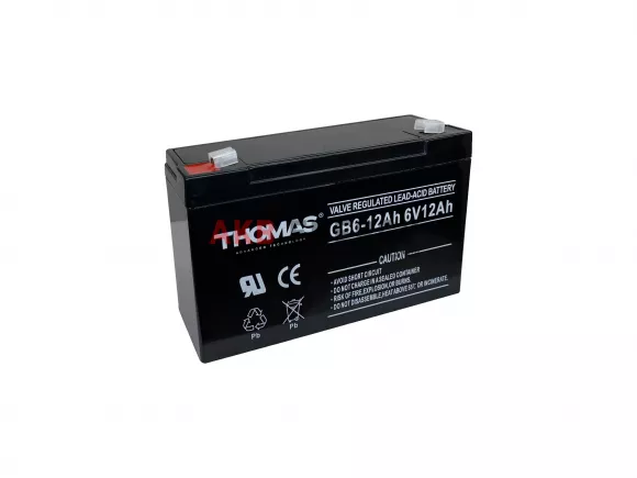 Купить новый аккумулятор THOMAS GB6-12Ah 6V интернет-магазин AKB ENERGY во Владимире