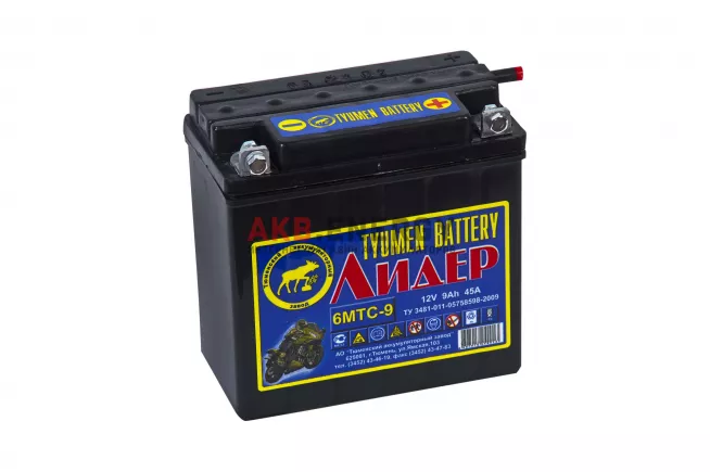 Купить новый аккумулятор TYUMEN BATTERY Лидер 9 Ач 45 A [EN] 12V Сухой интернет-магазин AKB ENERGY во Владимире