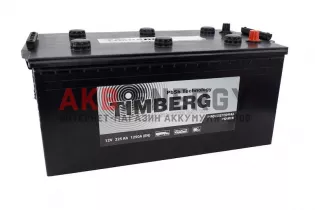 TIMBERG Professional Power 225 Ач 1250 А [EN] Обратный