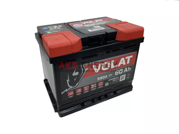 Купить новый аккумулятор VOLAT 60 Ач 590 А [EN] Прямой интернет-магазин AKB ENERGY во Владимире