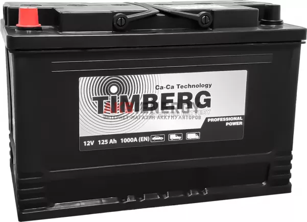 Купить новый аккумулятор TIMBERG Professional Power 125 Ач 1000 А [EN] Прямой интернет-магазин AKB ENERGY во Владимире