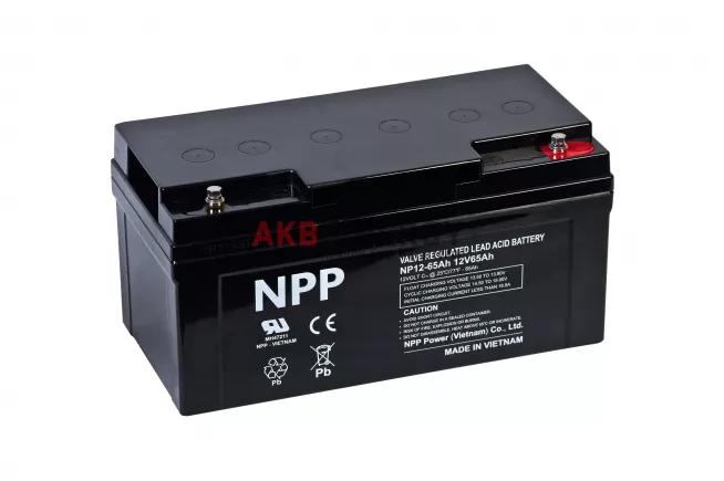 Купить новый аккумулятор NPP NP12-65Ah 12V интернет-магазин AKB ENERGY во Владимире