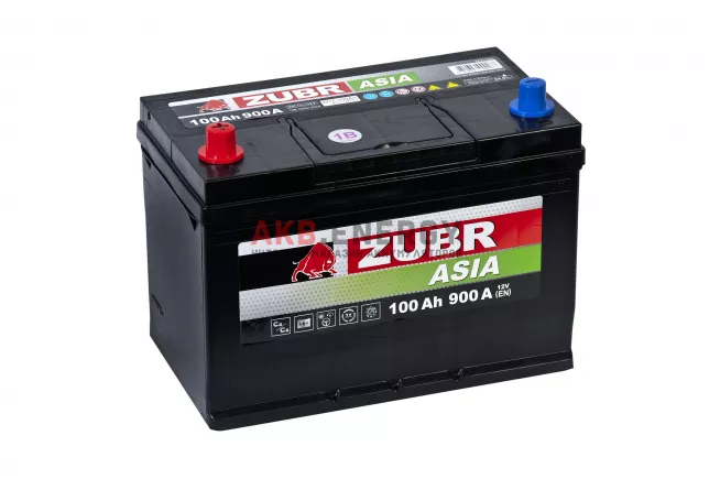 Купить новый аккумулятор ZUBR PREMIUM ASIA 100 Ач 900 А [EN] Прямой интернет-магазин AKB ENERGY во Владимире